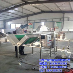 長(zhǎng)春娃娃菜自動(dòng)劈半設(shè)備,山東三智機(jī)械,娃娃菜自動(dòng)劈半設(shè)備廠家